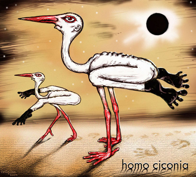 Homo ciconia
---------
 (  ,      )