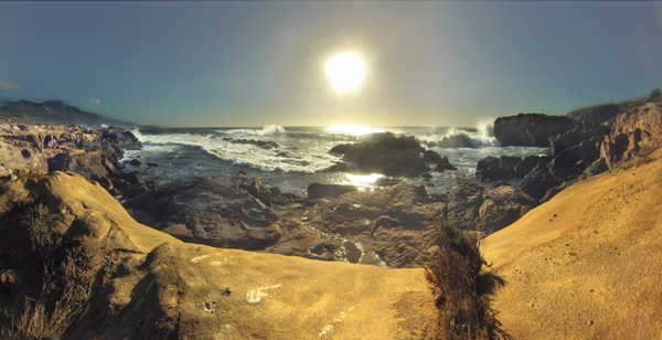    Point Lobos
---------
 (  ,      )