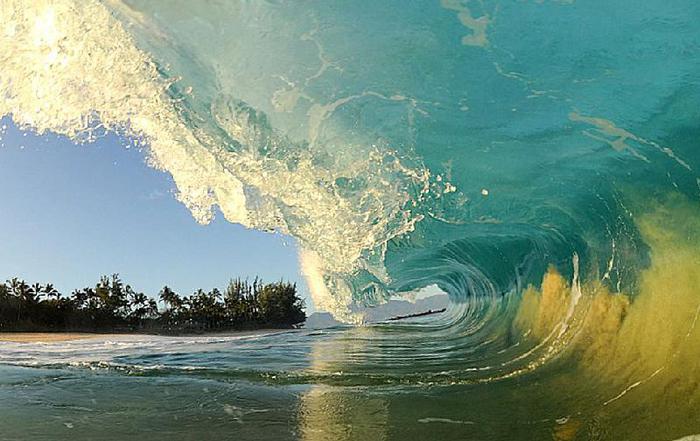 waves-surfer-14 (700x441, 56Kb)