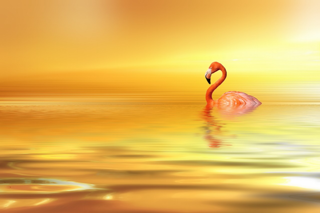  Uninhibited  Josep Sumalla  500px