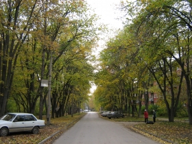 Autumn in Akademgorodok