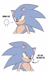 Size: 2660x4096 | Tagged: safe, artist:ssedgehog, sonic the hedgehog, english text, multiple views, simple background, smile, solo, white background