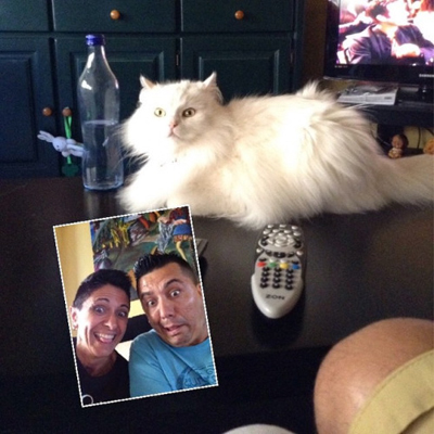 Zanny selfie with a cat and two men