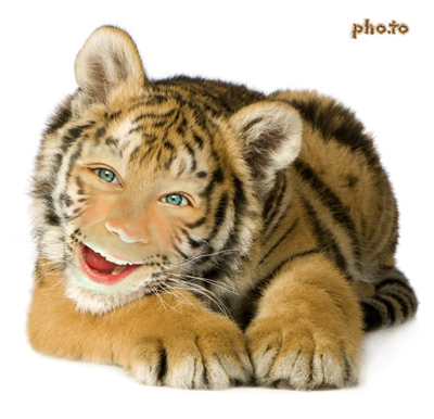 Turn yourself into a funny tiger online