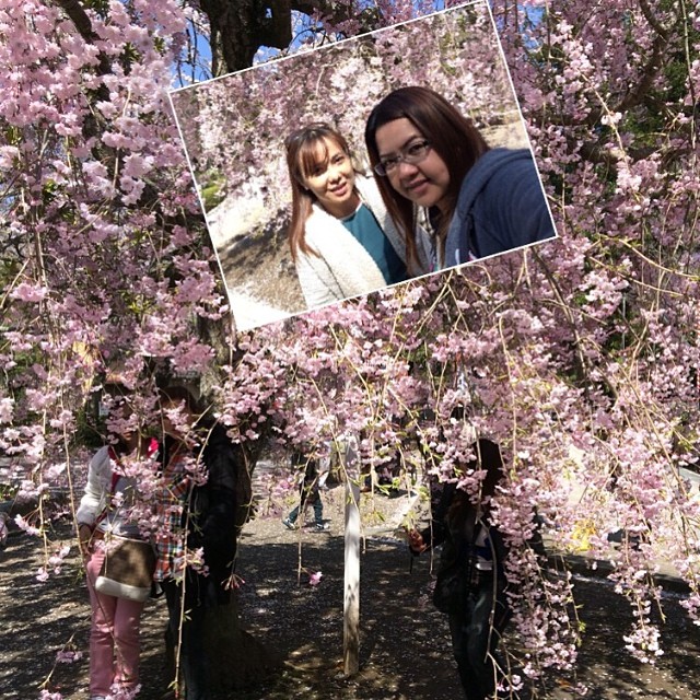 A selfie of friends taken at spring blossom time