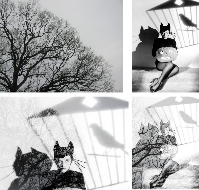 Artistic black and white photo portrait of a cat woman created with online double exposure effect