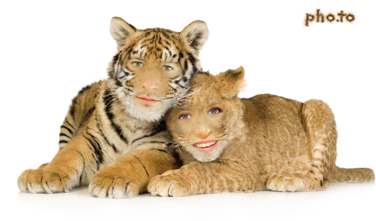 An unusual photo template for couples which turns you into a couple of loving felines