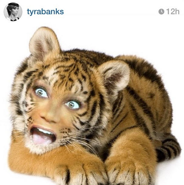 Tyra Banks has made this human to animal photo montage on her birthday and turned herself into a tiger