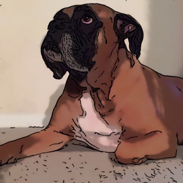 Cartoonized photo of a big kind dog