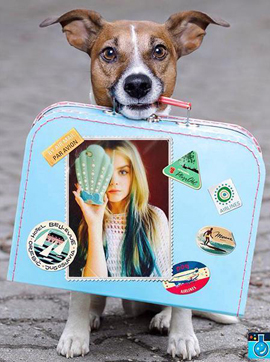 Travel photo frame with a zany dog