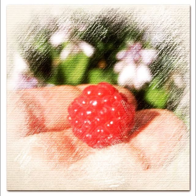 Turn your photo of a raspberry into a crayon sketch