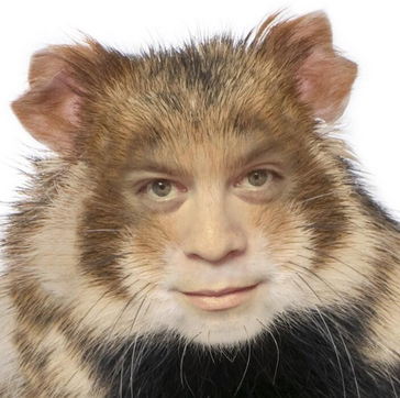 A human to animal photo montage lets a guy to be turned into a humanoid hamster