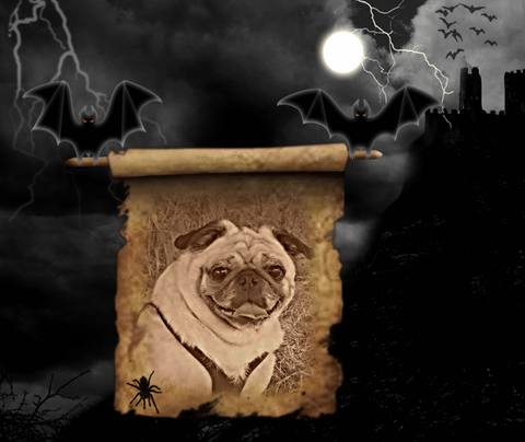 A funny picture where flying bats carry a picture of Halloween pug dog