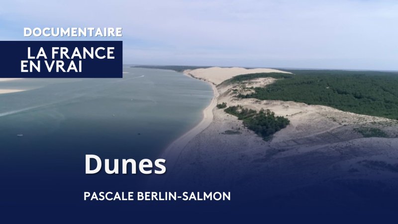 Dunes - vidéo undefined - france.tv