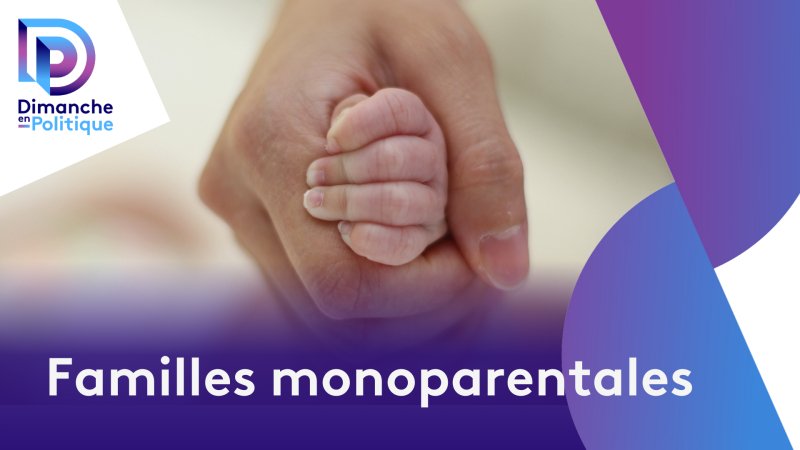 Les familles monoparentales - vidéo undefined - france.tv