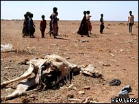 Drought in Ethiopia.  Image: Reuters