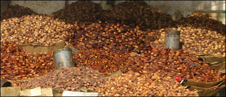 Dates for sale in Khartoum