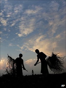 Indian farmers working in a field (Image: AP)