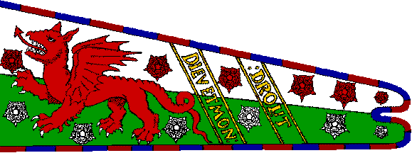 The Standard Of Henry Tudor