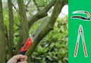 Pruning saws and tools for handling every occasion