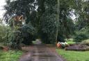 The area in The Carrs, a woodland area in Wilmslow, Cheshire where Chris Hall was hit by a limb of a tree