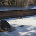 6149   Ryoan ji Dry Garden