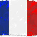 9064   grunge french flag