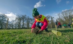 National Forest launch at the Woodland Trust event high on the mountainside above Neath in South Wales , UK<br>Blaendulais primary school pupil Georgia plants a small tree during the National Forest launch at the Woodland Trust event high on the mountainside above Neath in South Wales this morning at the newly planted Coed Cadw woodland. Re: National Forest launch at the Woodland Trust event high on the mountainside above Neath in South Wales this morning at the newly planted Coed Cadw woodland.