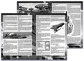 The core rules are high resolution PDFs filled with pictures. Click here to find out for yourself!