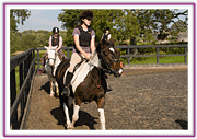 Lacys Cottage Riding School ~ Scrayingham