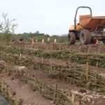 river bank stabilisation