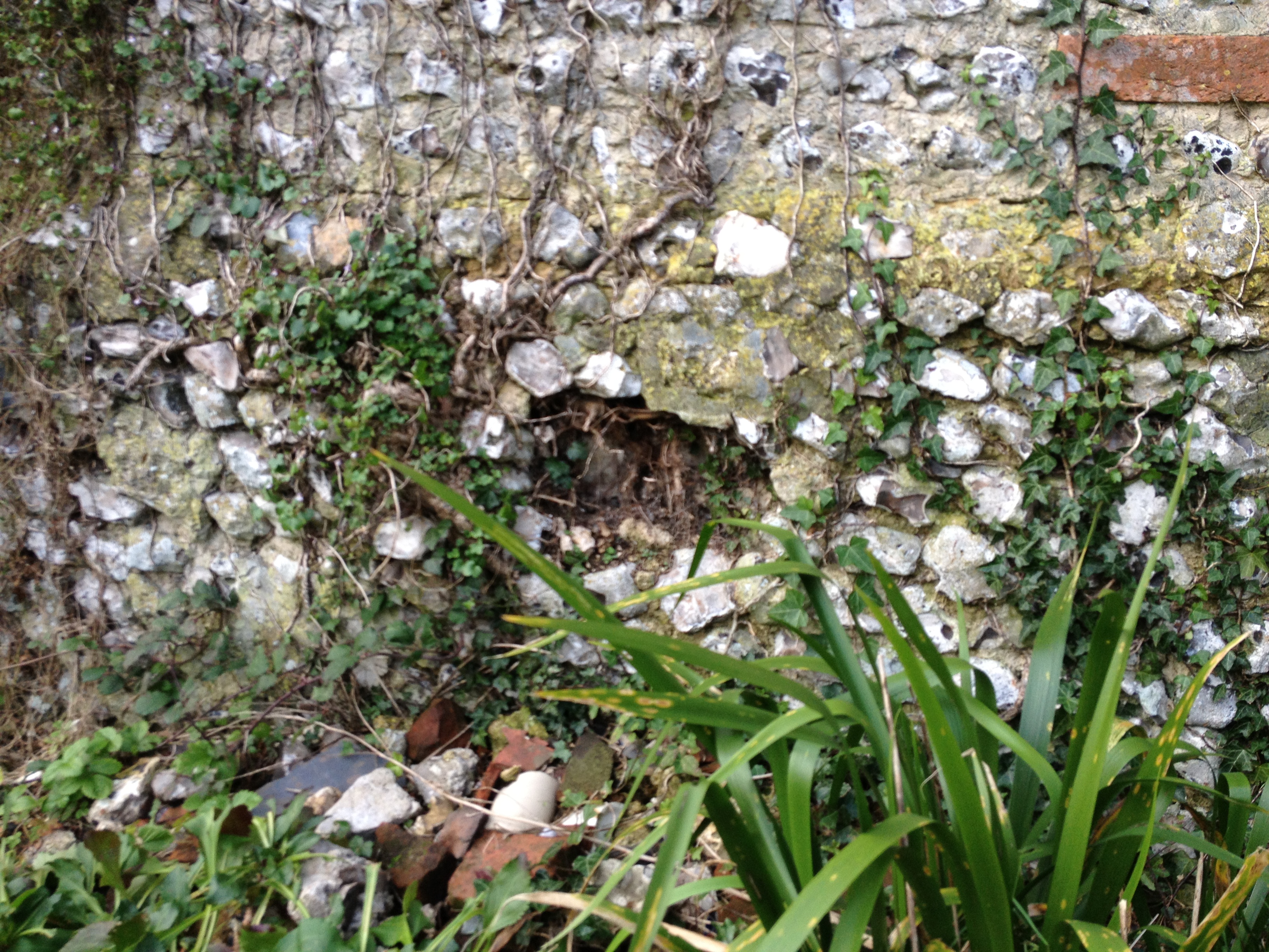 Sussex Flint Wall