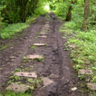 Photo looking south along section of stone blocks associated with Gelli Isaf tramroad