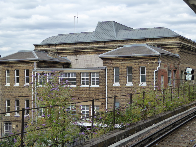 Peckham Rye rear