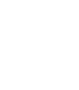 Icon TikTok